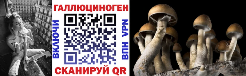 Псилоцибиновые грибы MAGIC MUSHROOMS  Таганрог 
