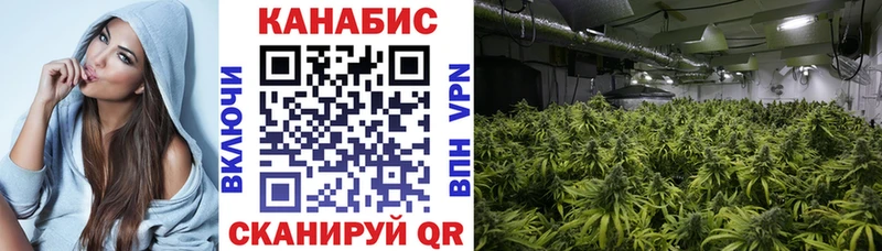 KRAKEN ссылка Таганрог Бошки Шишки тримм